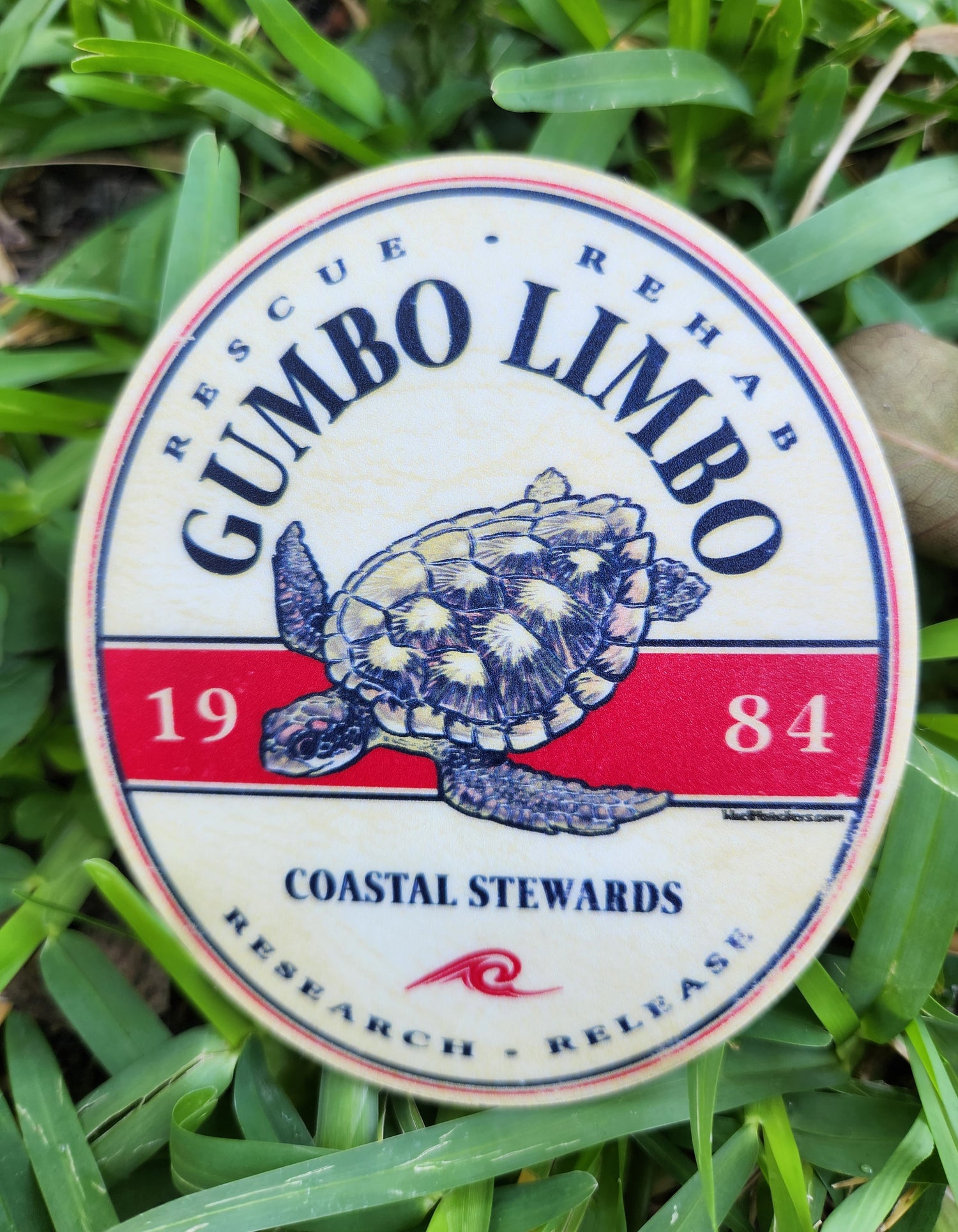 Celebrate Gumbo Limbo