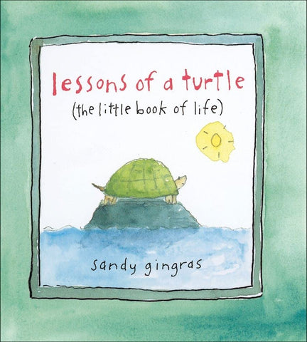 LESSONS OF A TURTLE