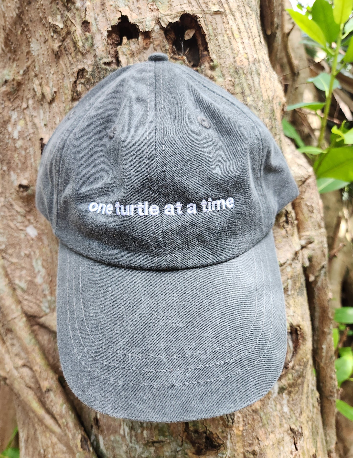 ONE TURTLE AT A TIME ADULT CAP