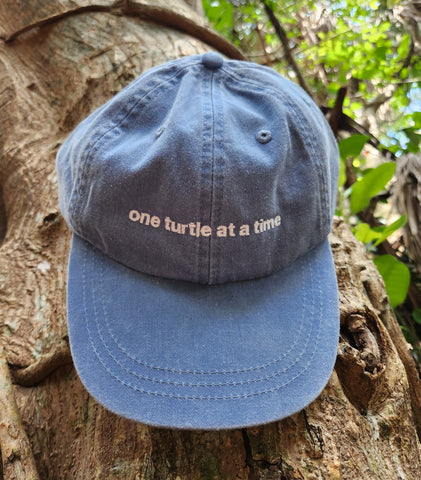 ONE TURTLE AT A TIME ADULT CAP