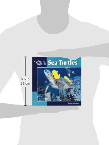 SEA TURTLES (OUR WILD WORLD)