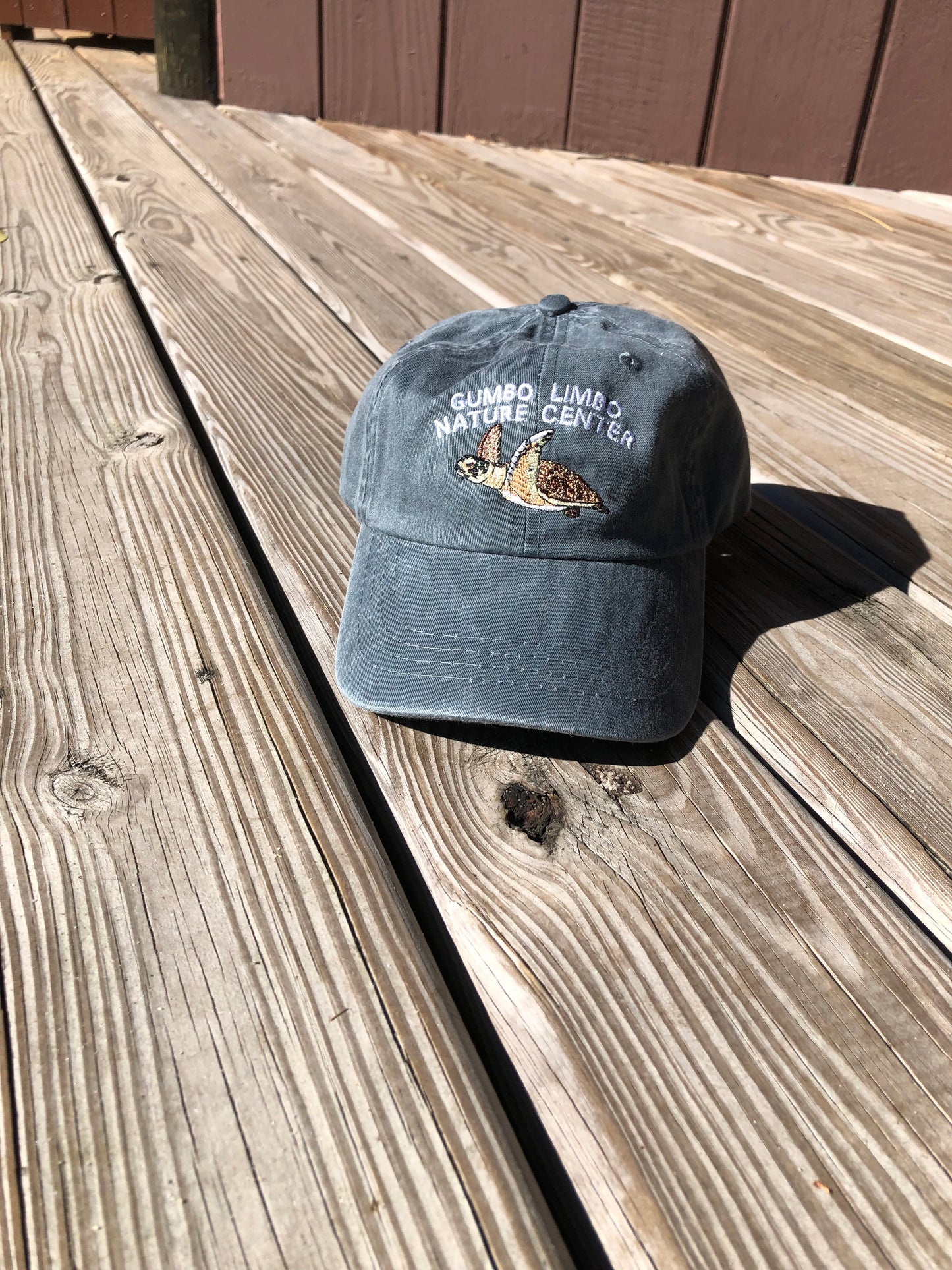 SWIMMING TURTLE EMBROIDERED HAT