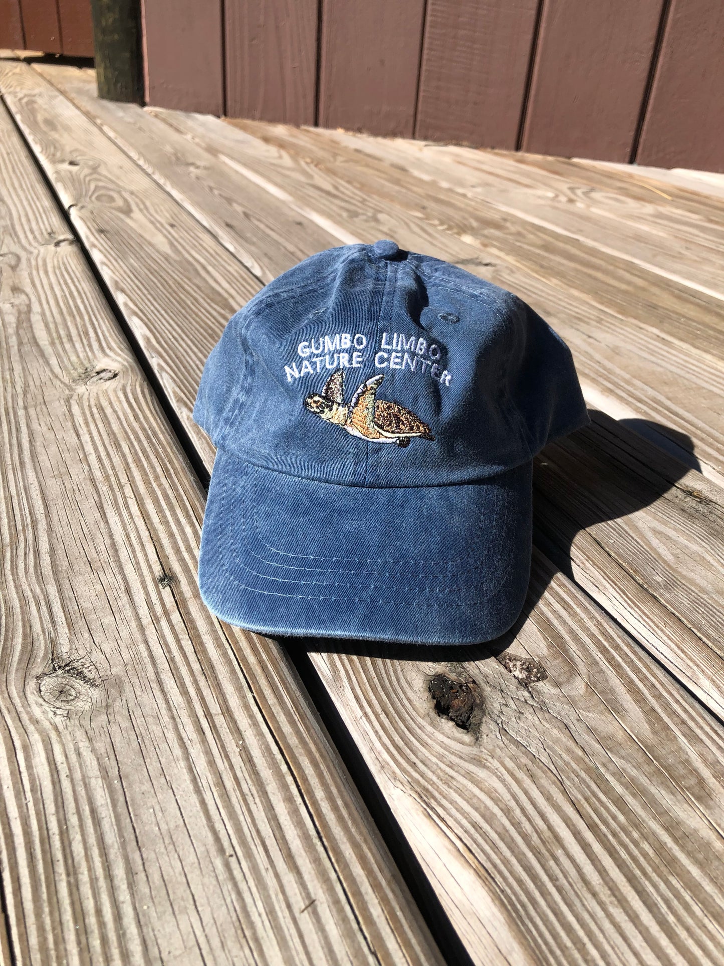 SWIMMING TURTLE EMBROIDERED HAT