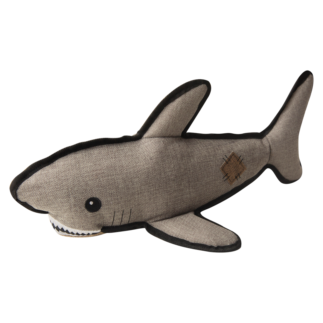 SAUL THE SHARK